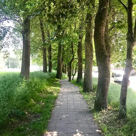 Boulevard And Dunes *